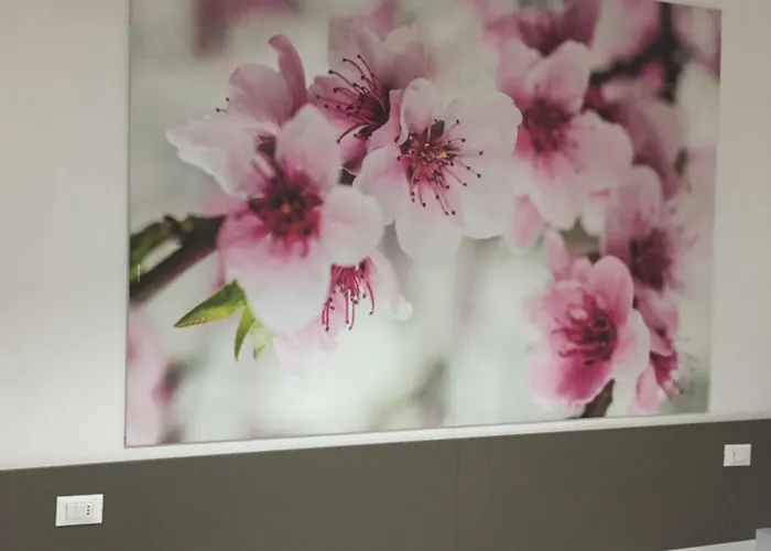 Liberty Πανσιόν Λα Σπέτσια